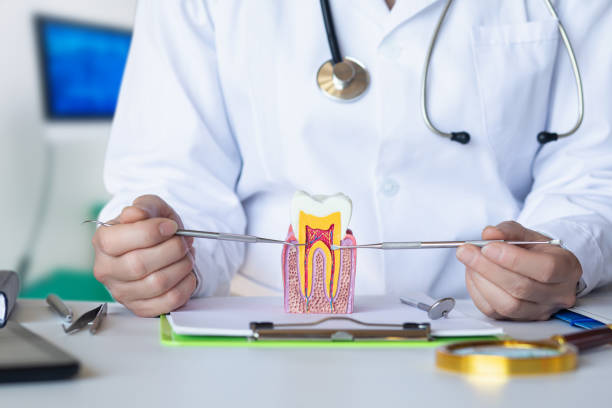 Best Emergency Treatment for Oral Infections in Leeds, AL